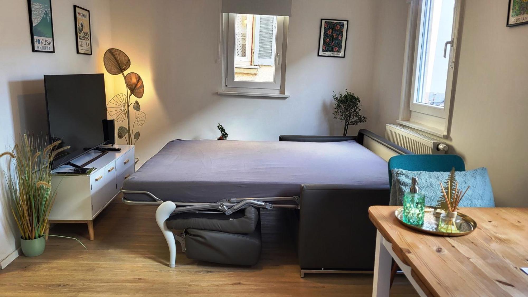 Weberstrasse Apartment Tuebingen